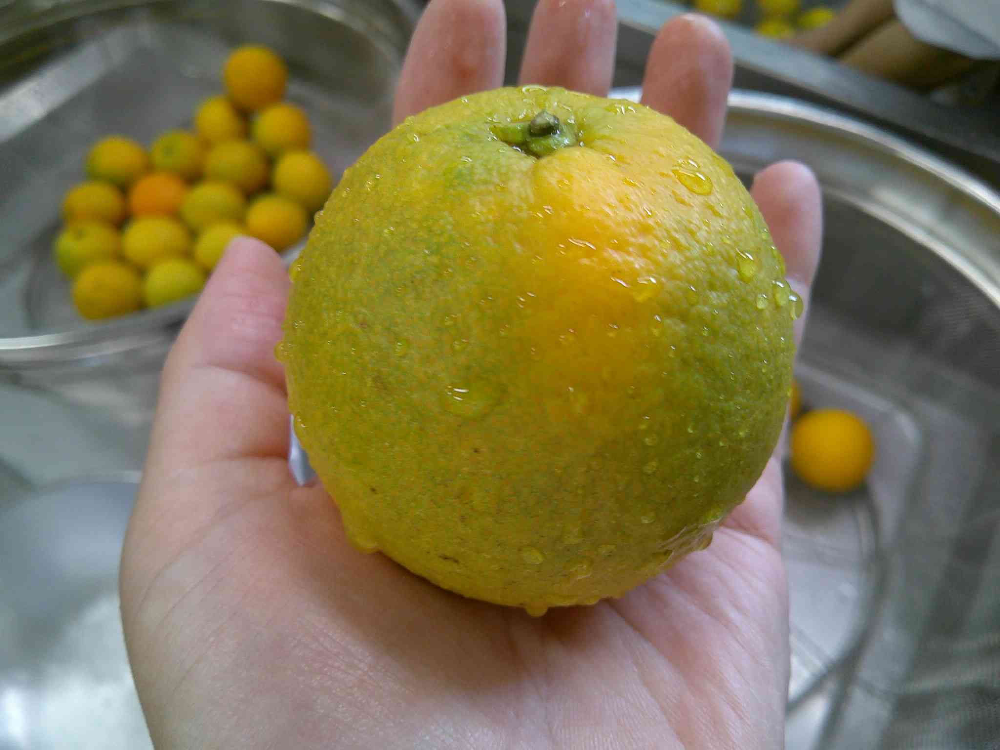 DSCF0014