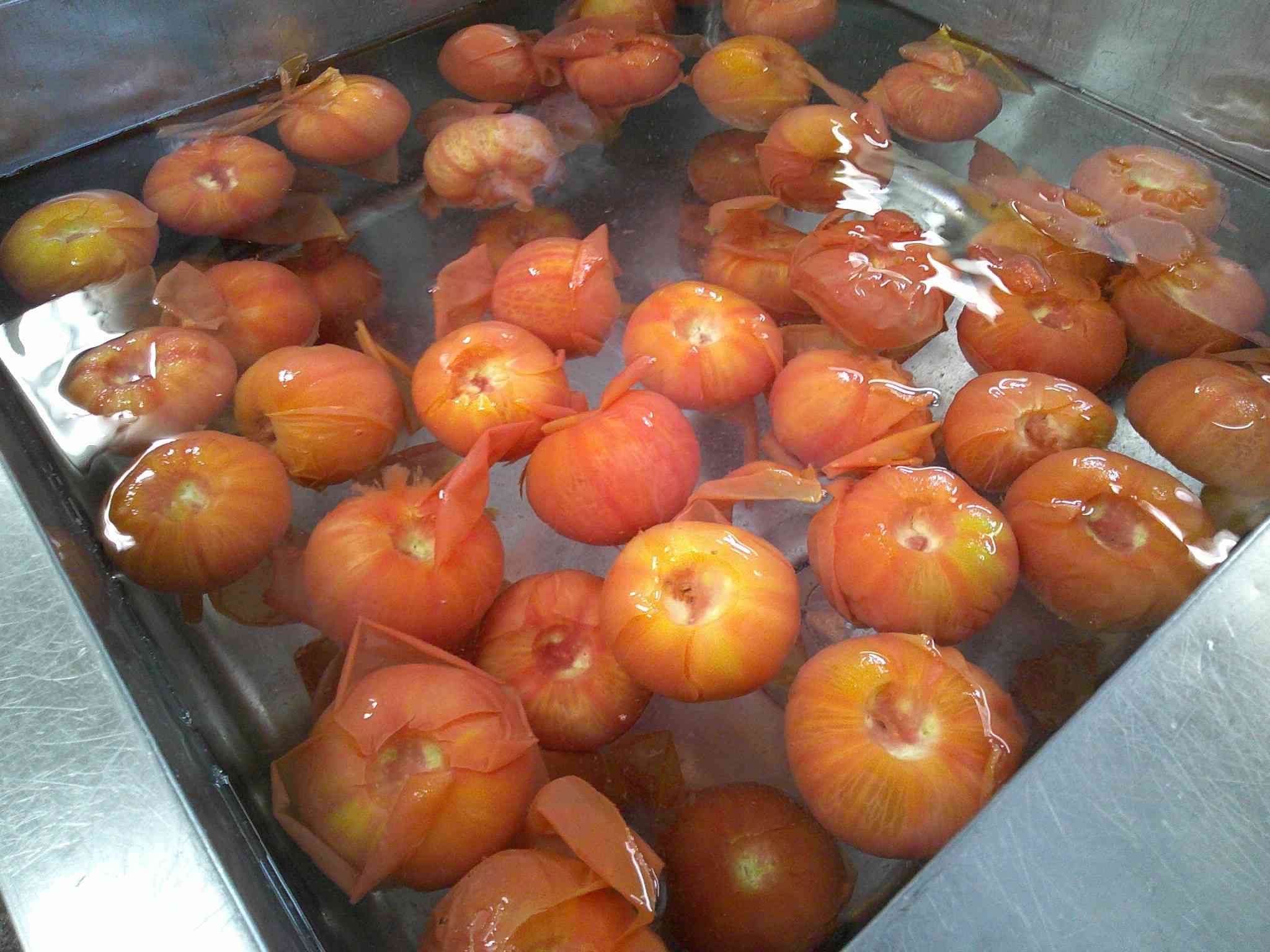 DSCF0002