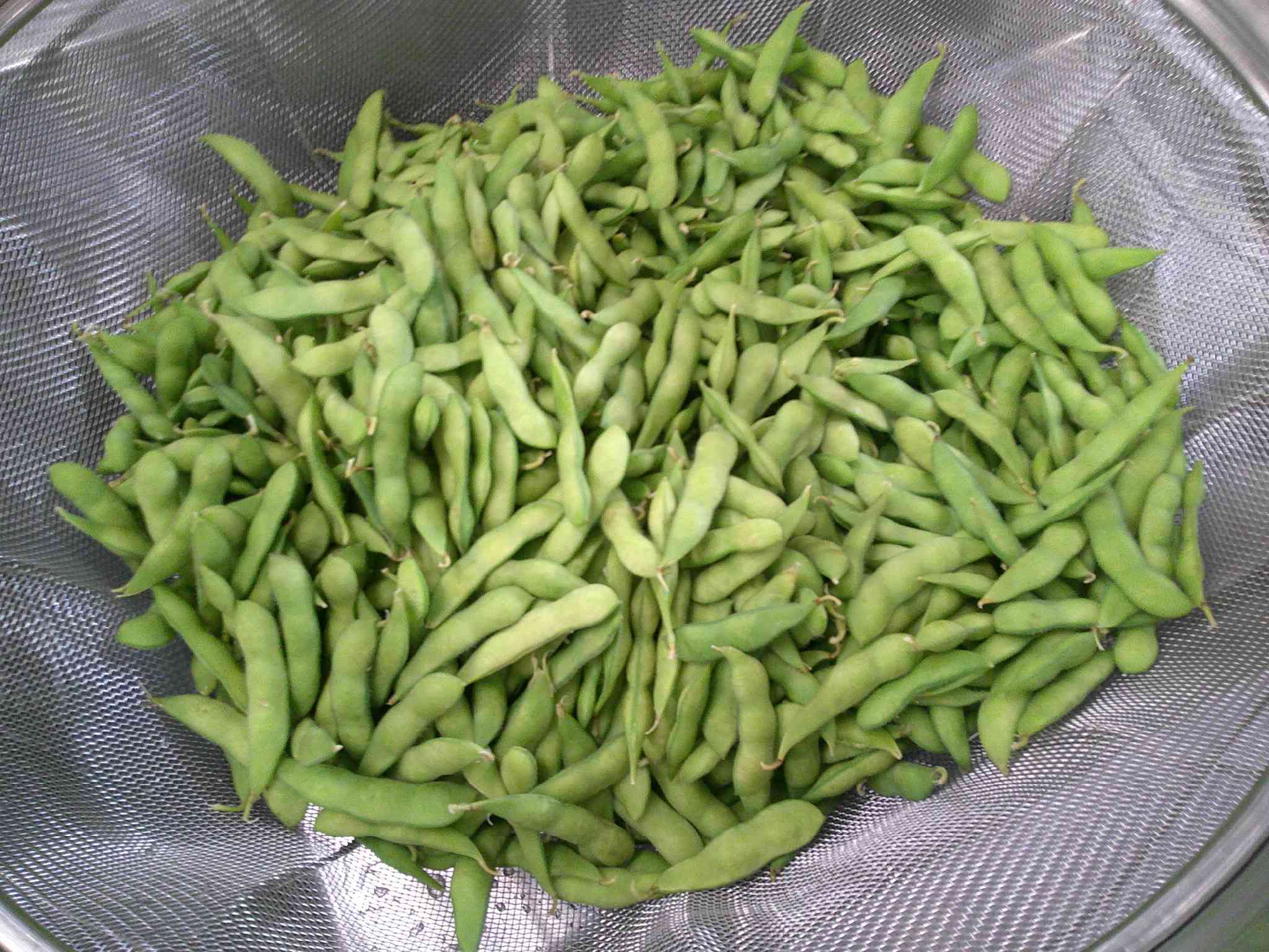 DSCF0002