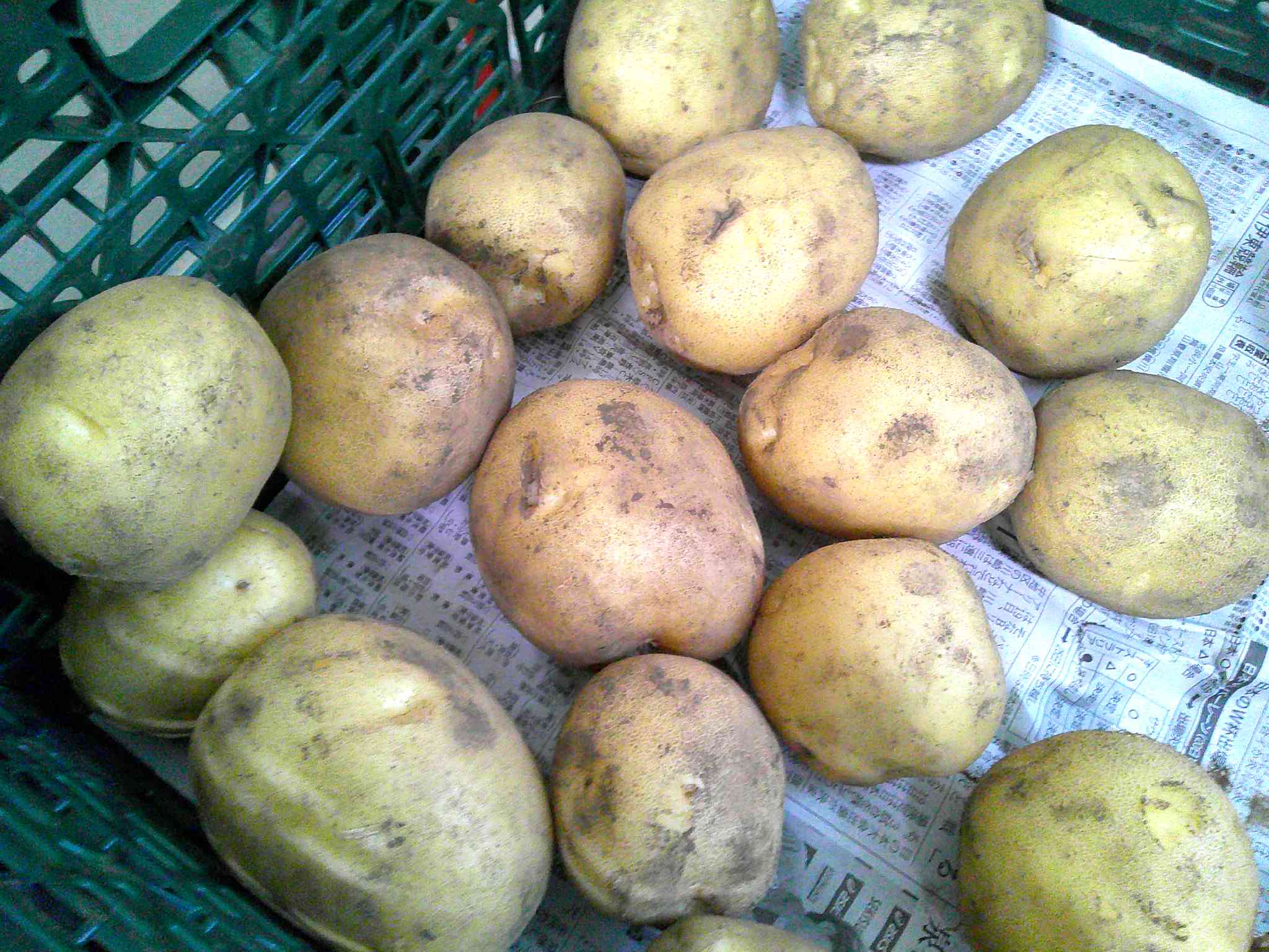 DSCF0002