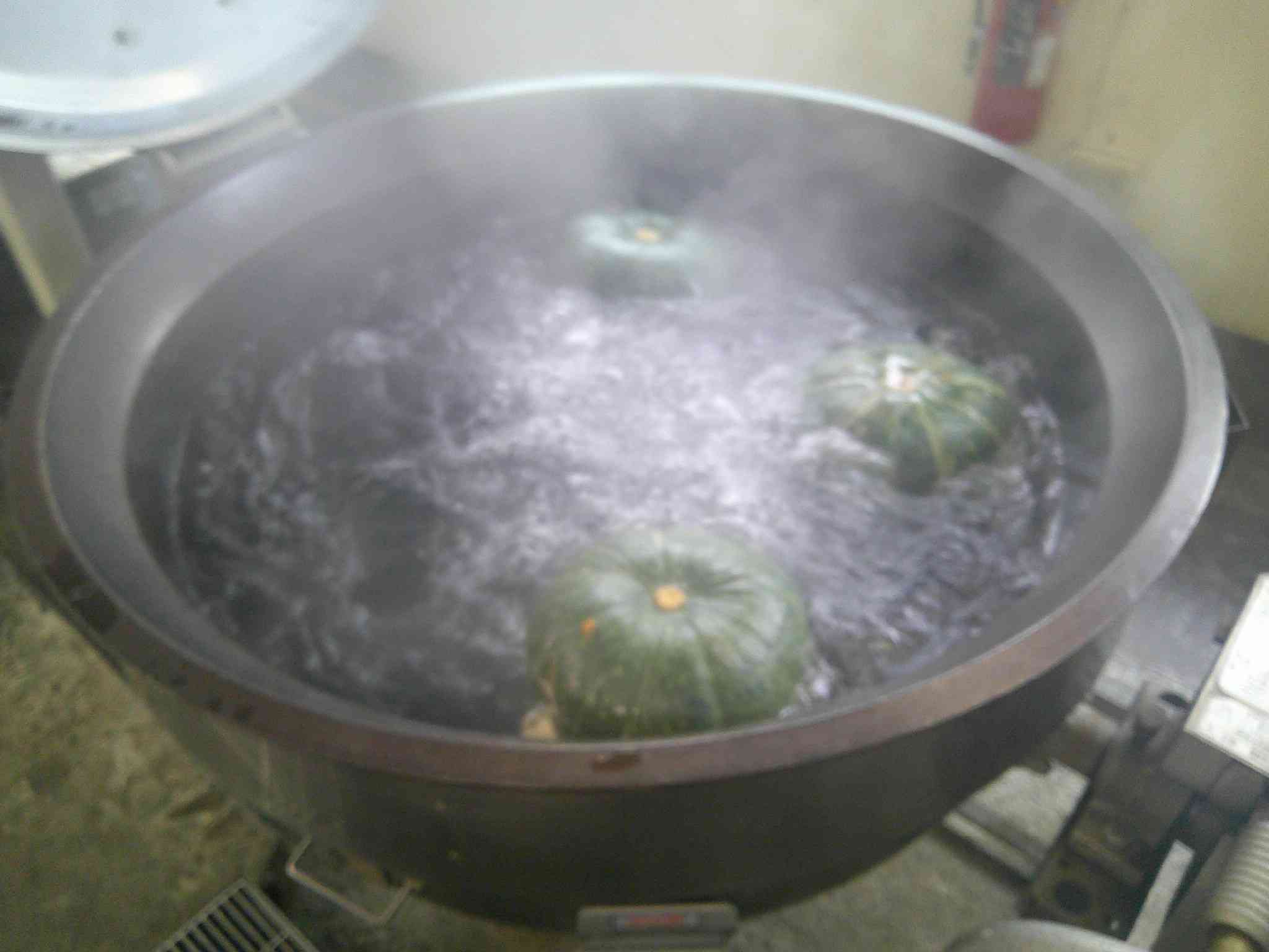 DSCF0004