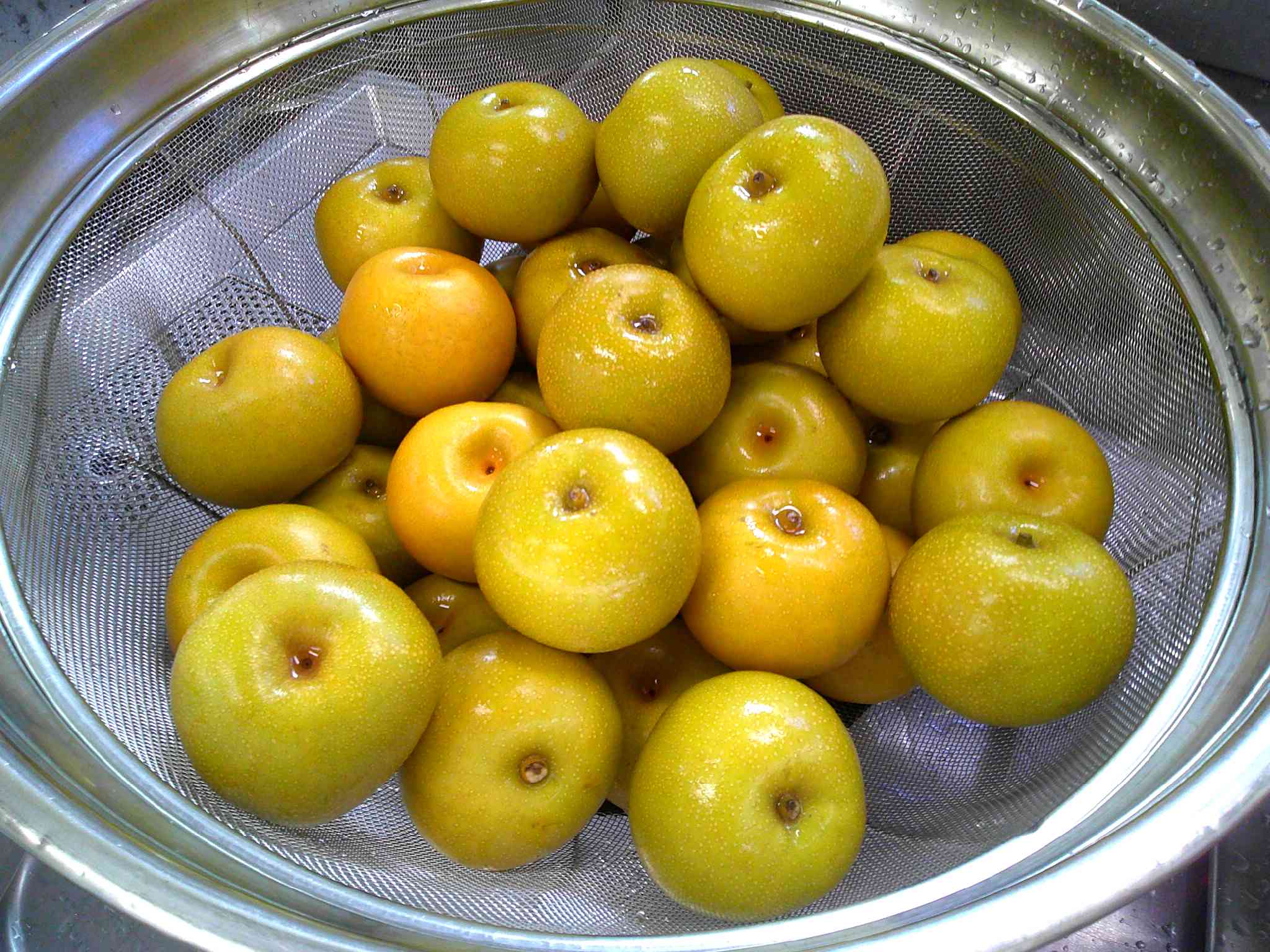 DSCF0005
