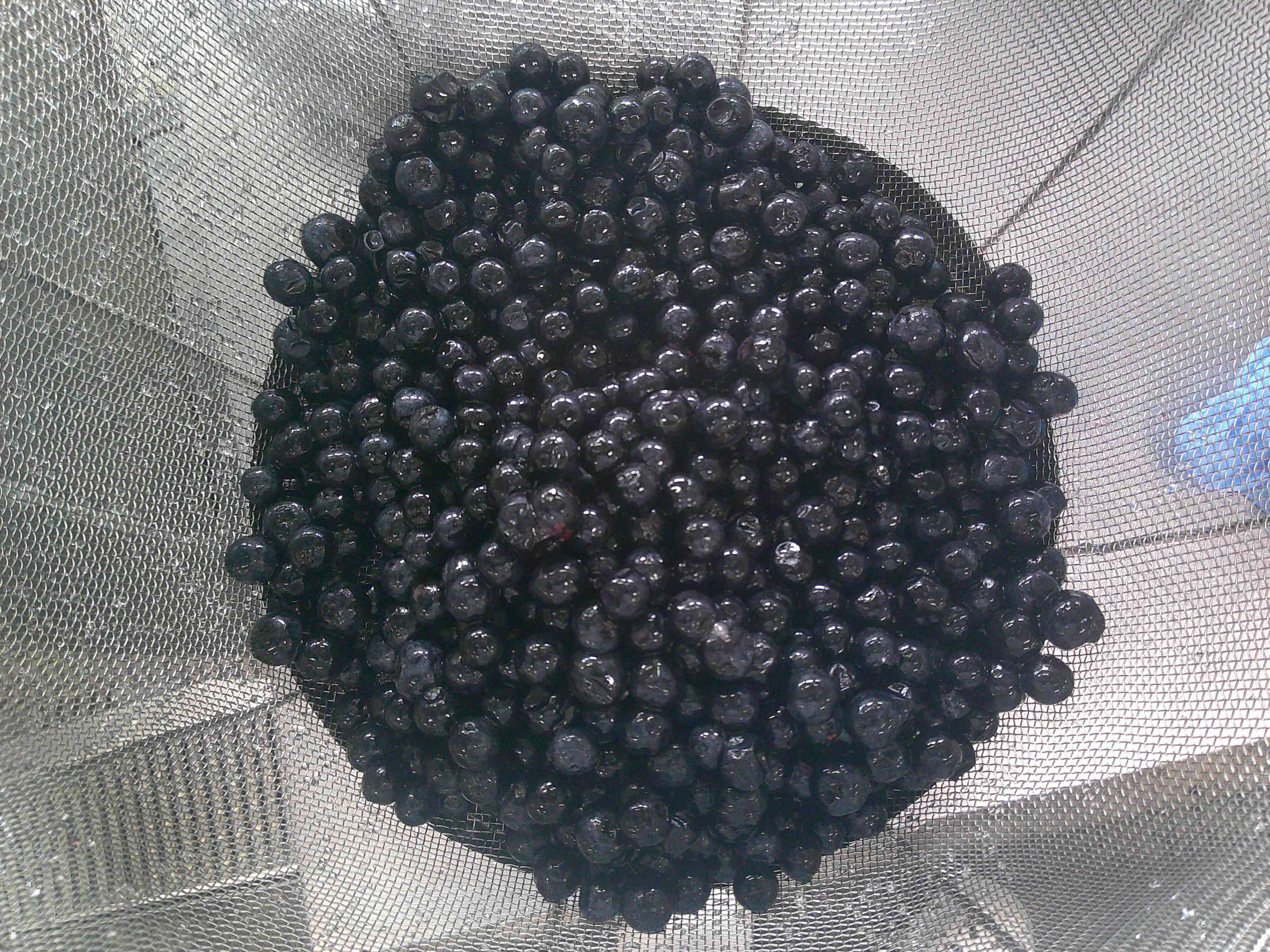 DSCF0006