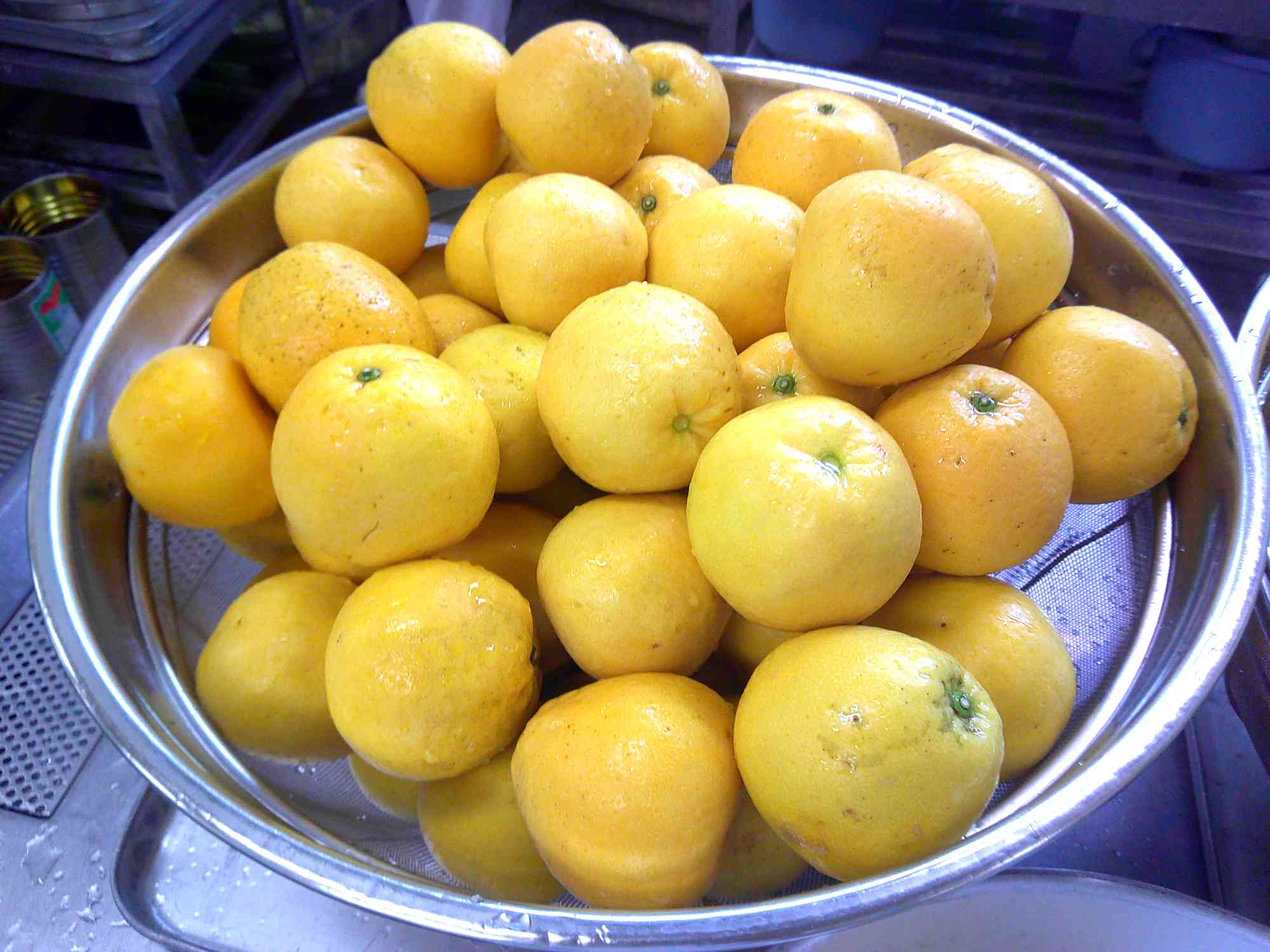 DSCF0001