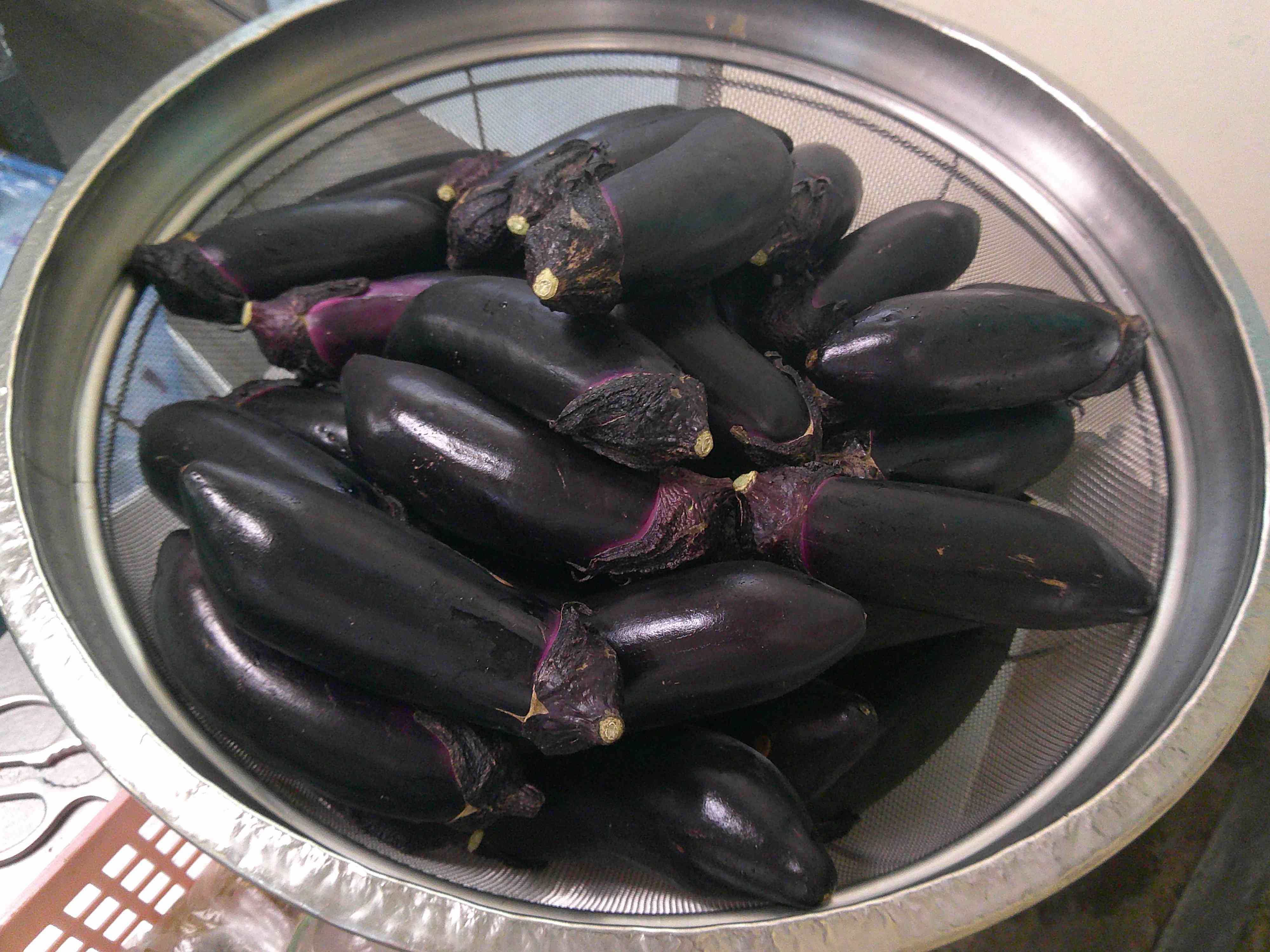 DSCF0001