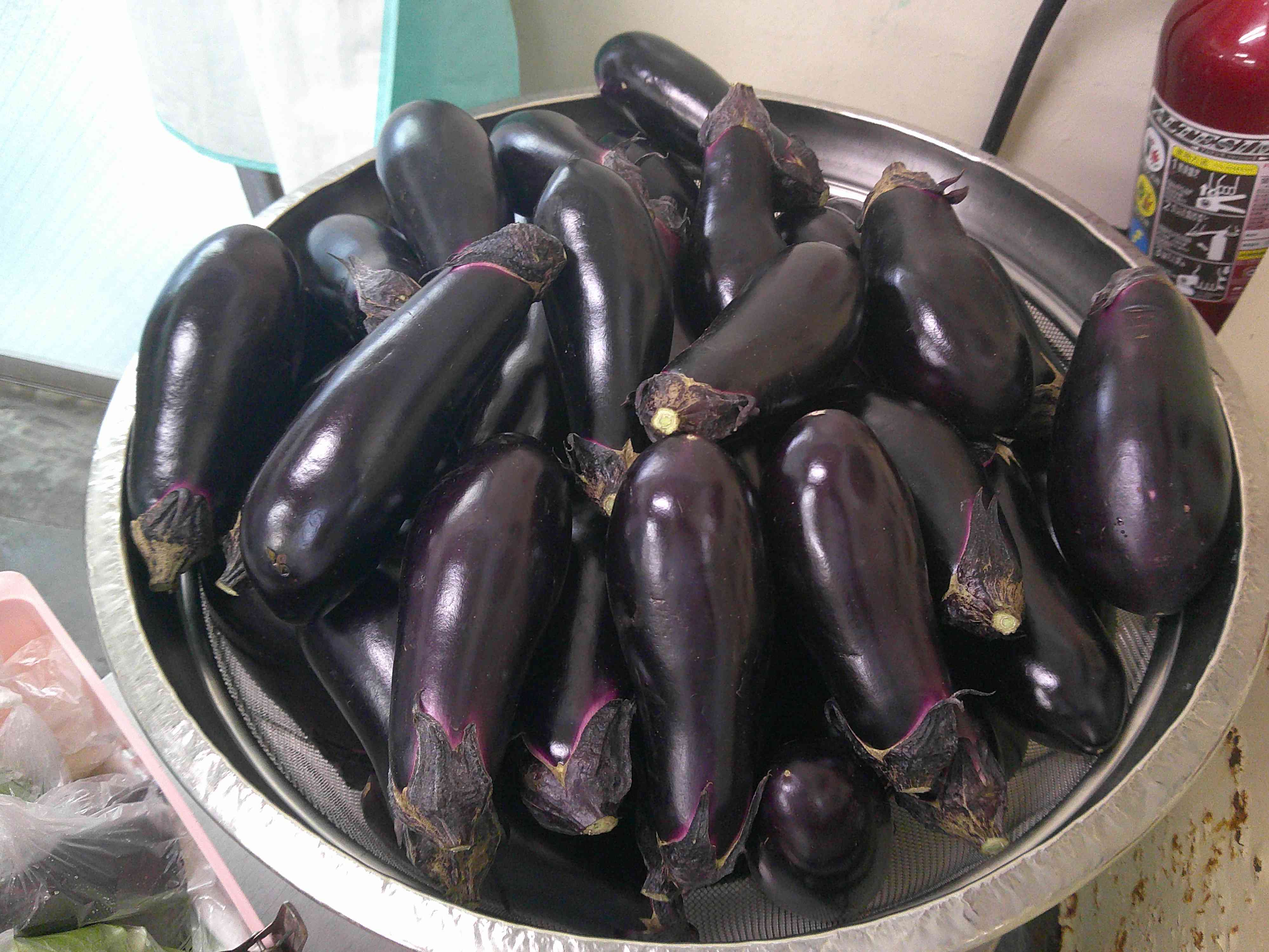 DSCF0002